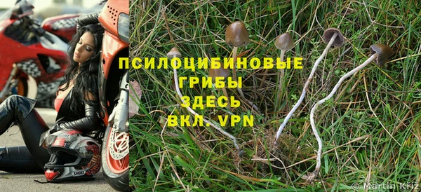 мет Михайловск