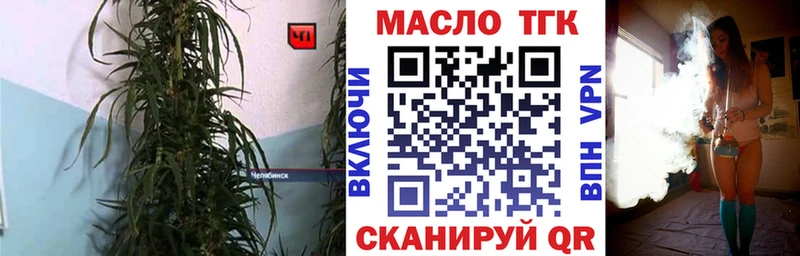 мега ТОР  Светлогорск  Дистиллят ТГК THC oil  наркота 